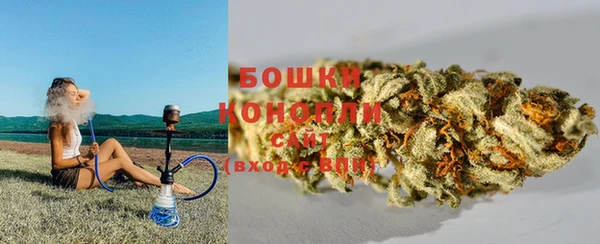 тгк Белокуриха