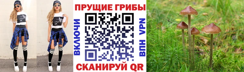 Псилоцибиновые грибы ЛСД  Ершов 